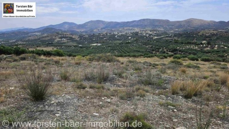 Kamilari Kreta, Kamilari, Grundstück von 4.050m². Grundstück kaufen